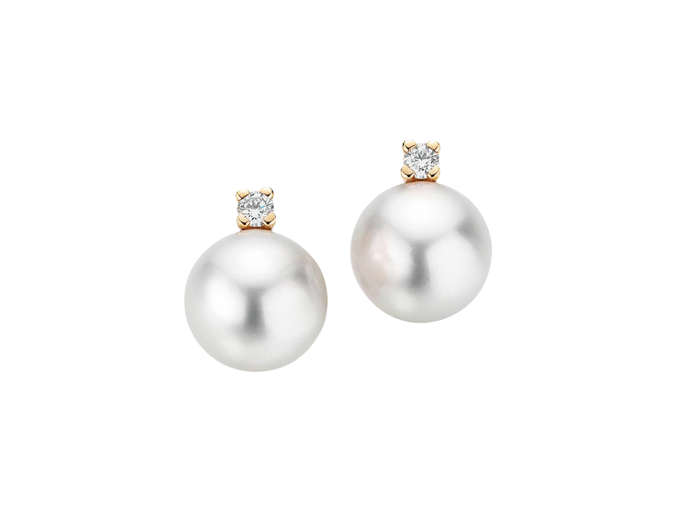 Gellner H2O Ohrstecker Gellner H2O Ohrstecker