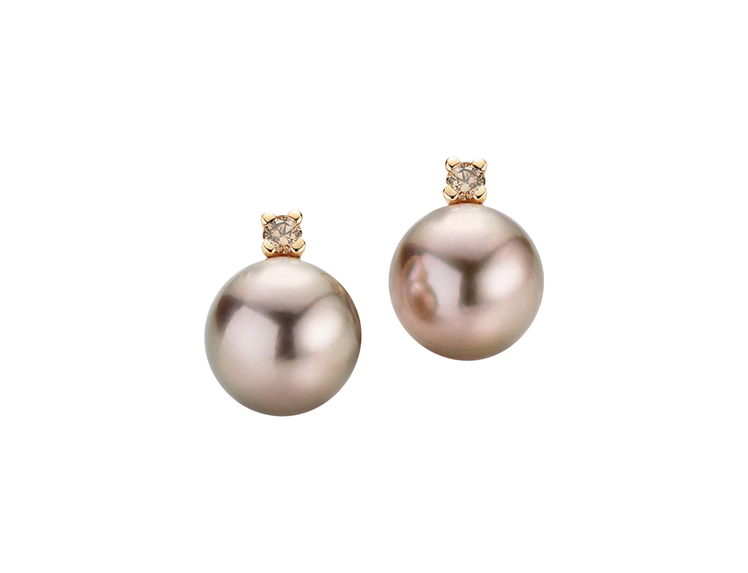 Gellner H2O Ohrstecker Gellner H2O Ohrstecker