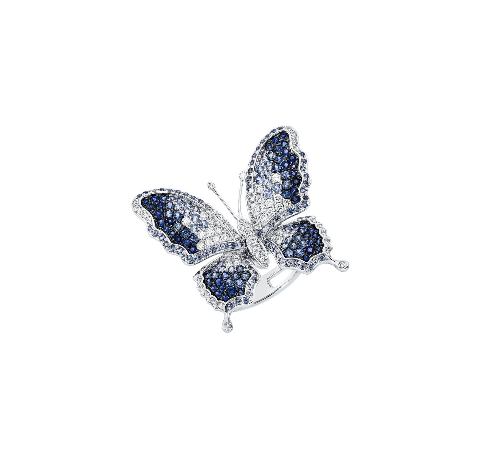 Brogle Selection Schmetterlings Saphirring Brogle Selection Schmetterlings Saphirring