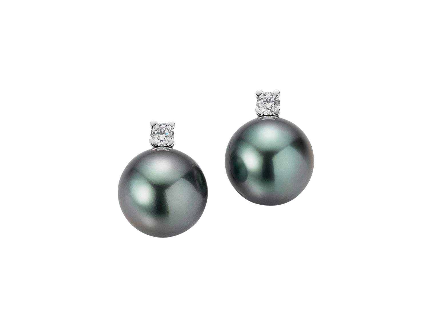 Gellner H2O Ohrstecker Gellner H2O Ohrstecker