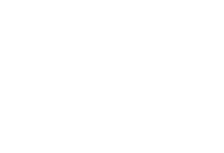 brogle dodo w 02