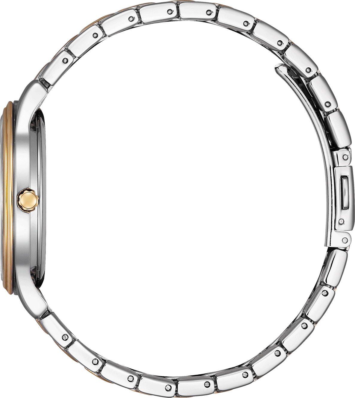 Citizen Basic Eco-Drive 34mm