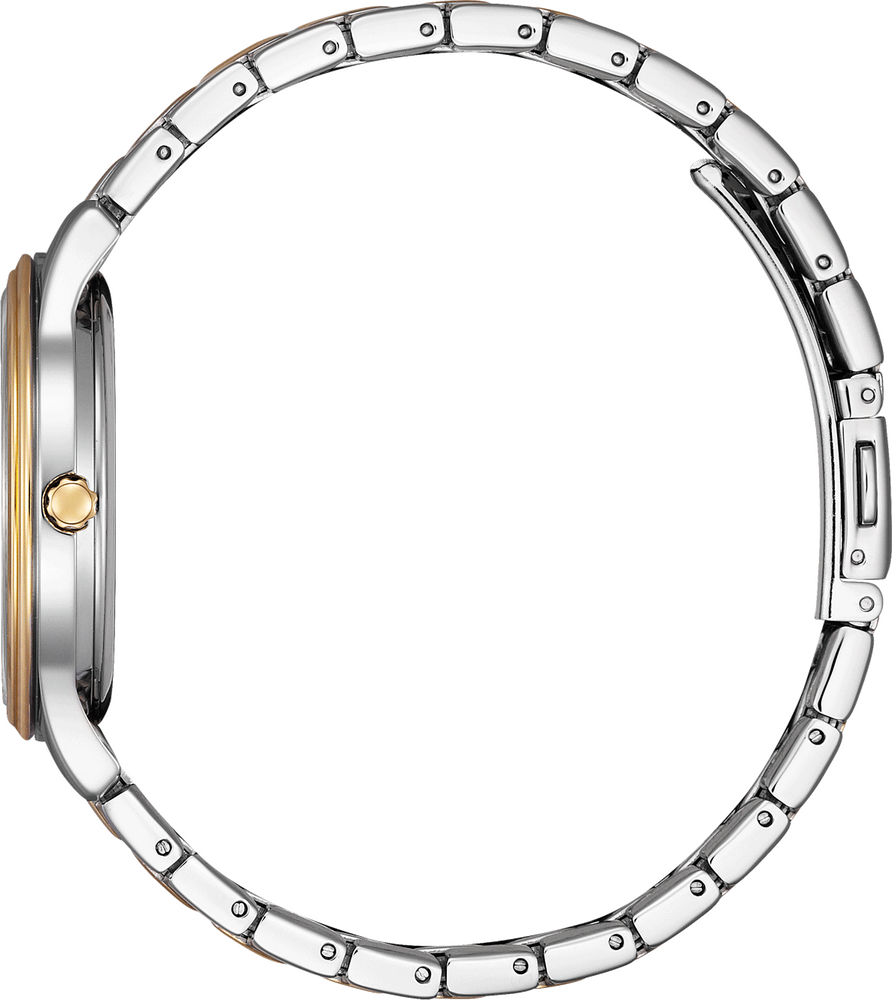 Citizen Basic Eco-Drive 34mm