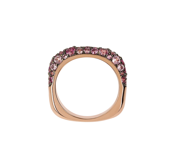 WSBZ02104.ROSE dff78521 5597 4b11 87f a276322ec71371fdd