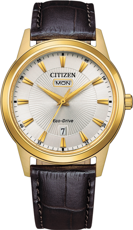 Citizen Basic Eco-Drive 40mm
