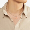 Dodo seahorse Pendant Dodo seahorse Pendant