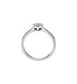 Brogle Selection Illusion Ring