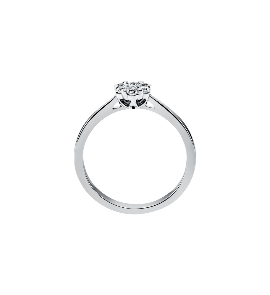 1b497w s1 d64b9103256b17f49