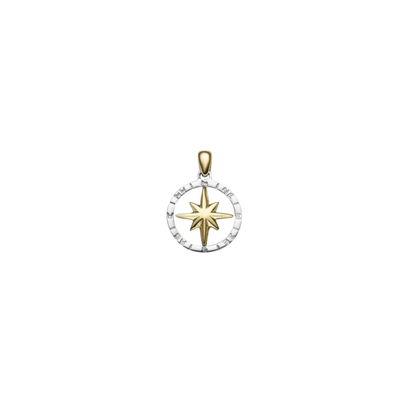 Brogle Selection Spirit Compass 585 Pendant