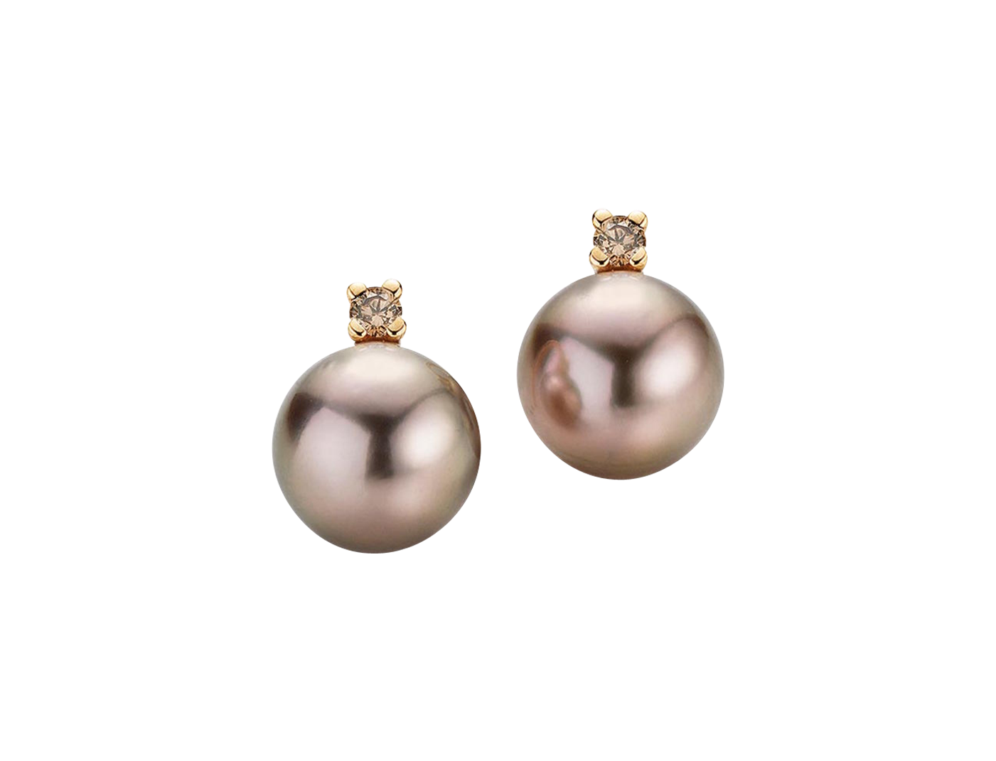 Gellner H2O stud earrings Gellner H2O stud earrings