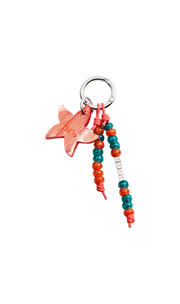 Dodo bag tag star