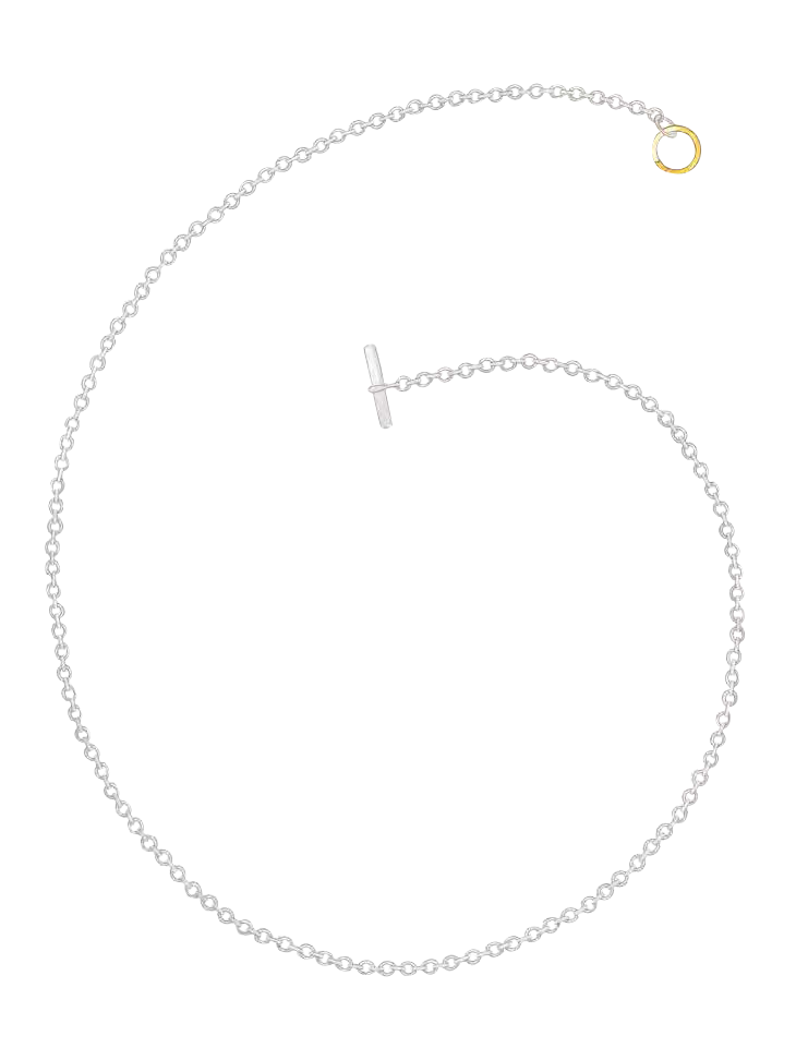 Dodo choker necklace Dodo choker necklace