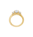 Brogle solitaire ring