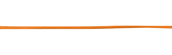 Tamara Comolli Signature Orange Leather Strap