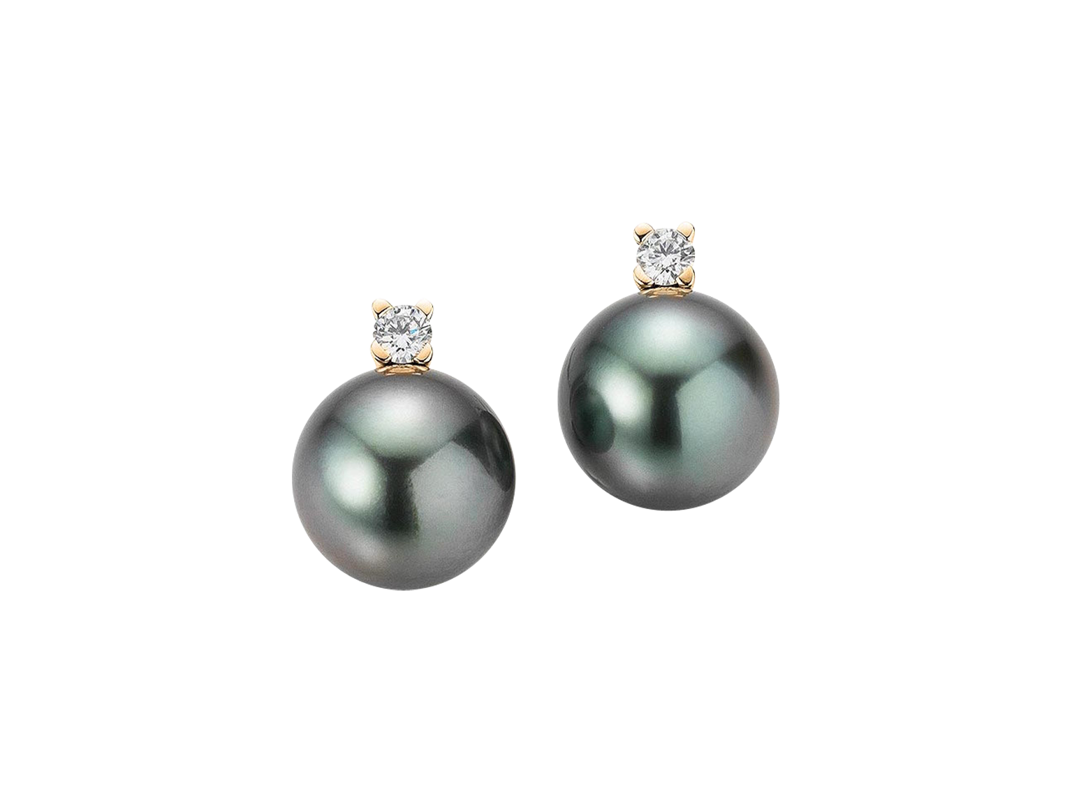 Gellner H2O Ohrstecker Gellner H2O Ohrstecker