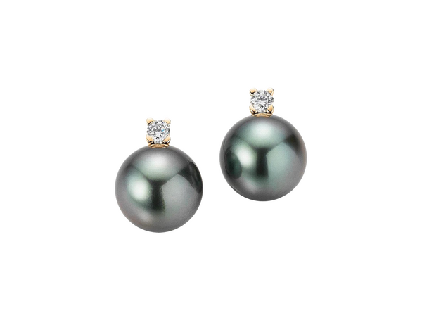 Gellner H2O Ohrstecker Gellner H2O Ohrstecker