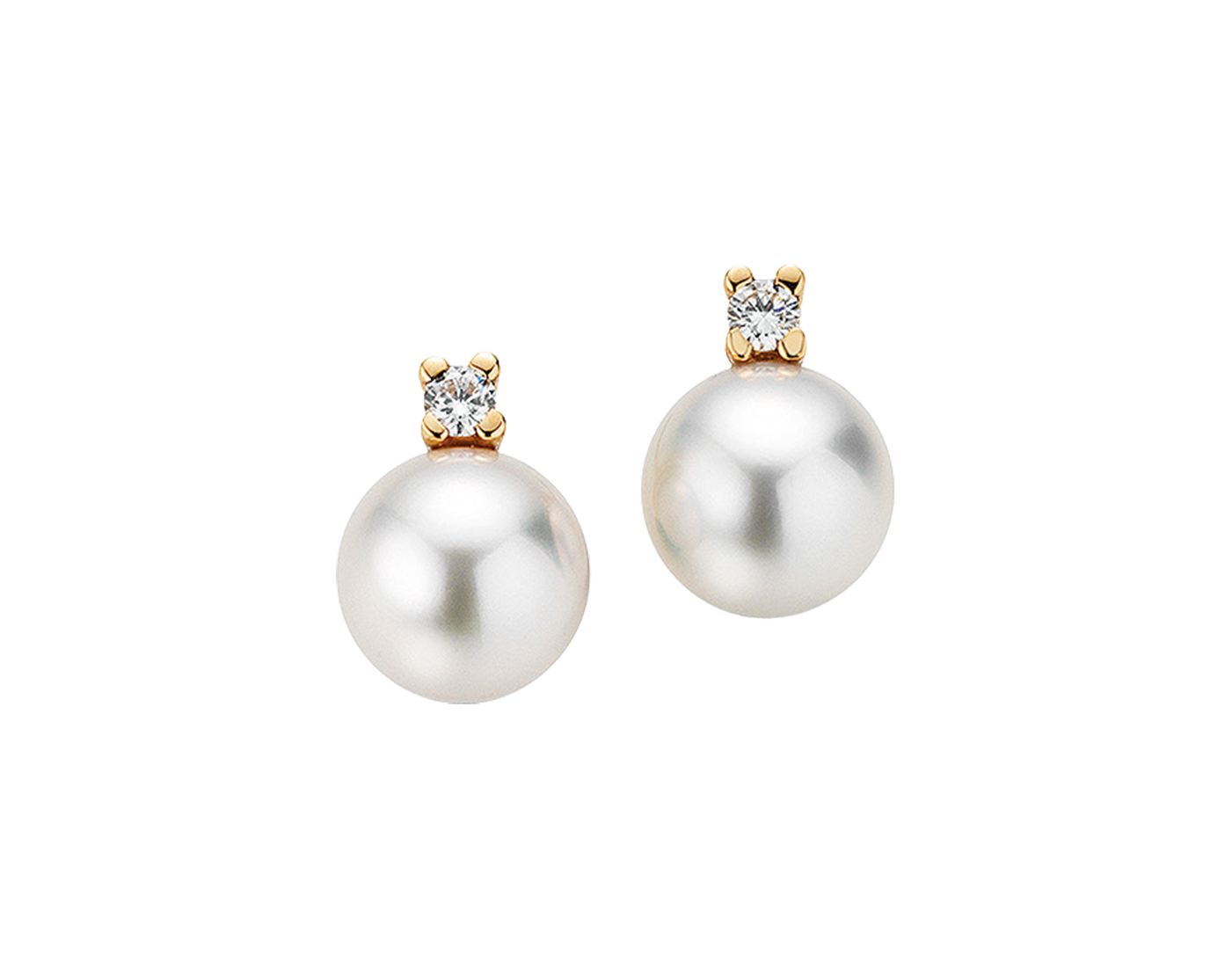 Gellner H2O stud earrings Gellner H2O stud earrings