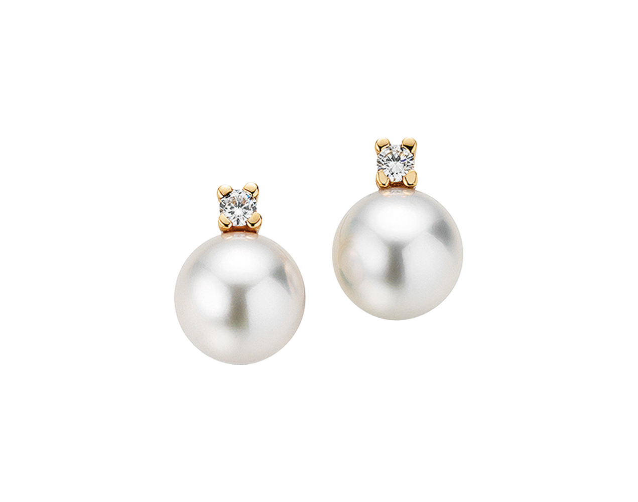 Gellner H2O stud earrings Gellner H2O stud earrings