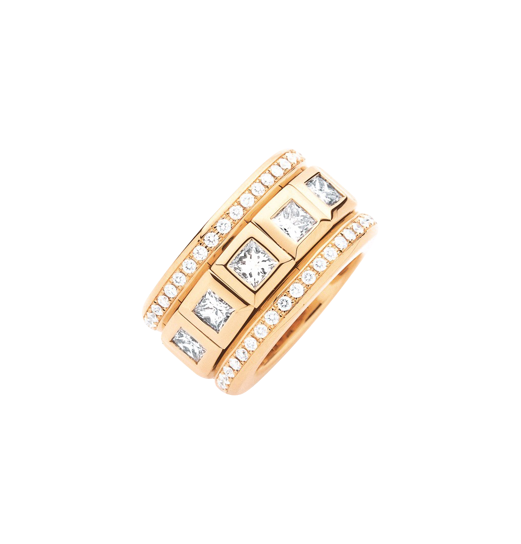 Tamara Comolli Curriculum Vitae Ring Tamara Comolli Curriculum Vitae Ring