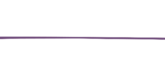 Tamara Comolli Signature Purple leather strap