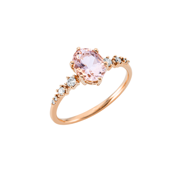 Brogle Classic Morganitring