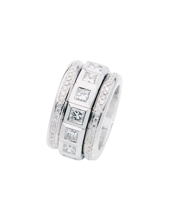 Tamara Comolli Curriculum Vitae Ring