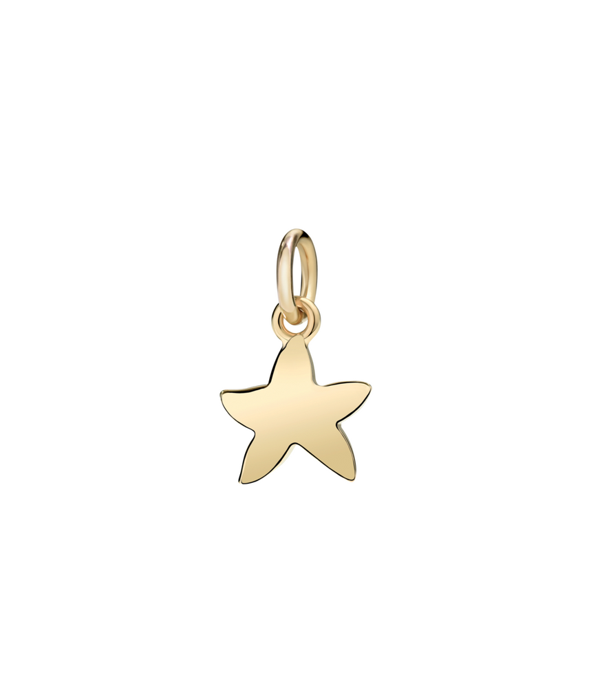 Dodo starfish (small) Pendant