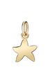 Dodo starfish (small) Pendant Dodo starfish (small) Pendant