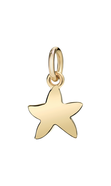 Dodo Seestern (klein) Anhänger Dodo Seestern (klein) Anhänger