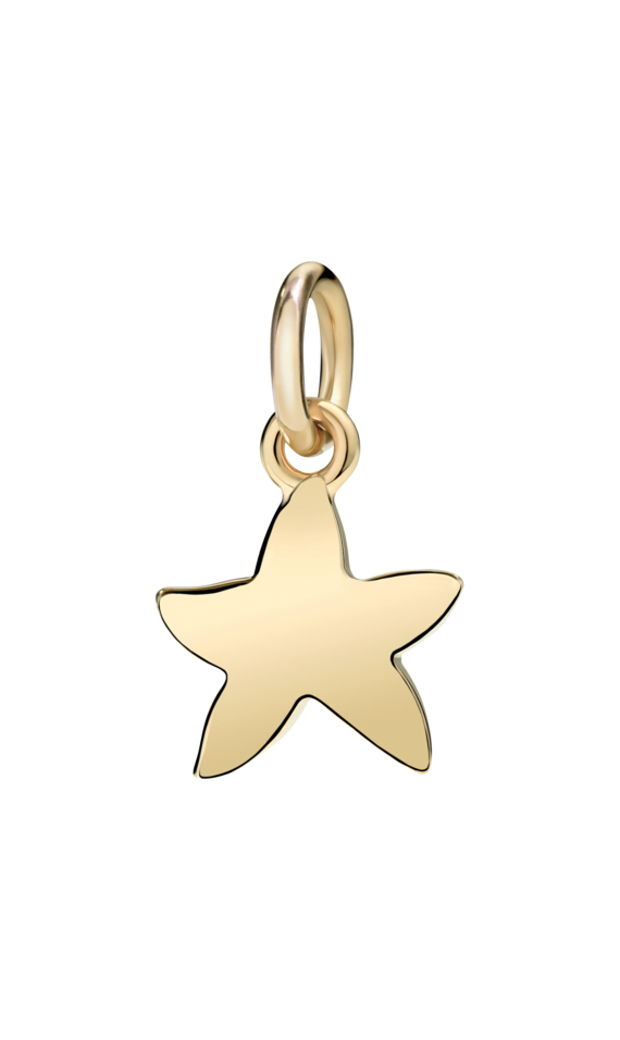 Dodo starfish (small) Pendant Dodo starfish (small) Pendant