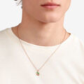 Dodo frog Pendant