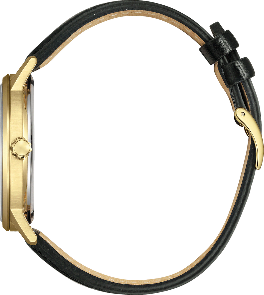 Citizen Elegant Men's 40mm