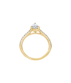 Brogle solitaire ring