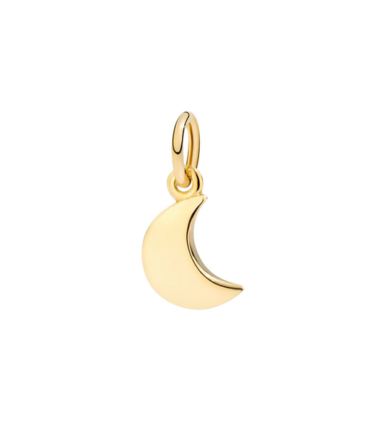 Dodo moon Pendant