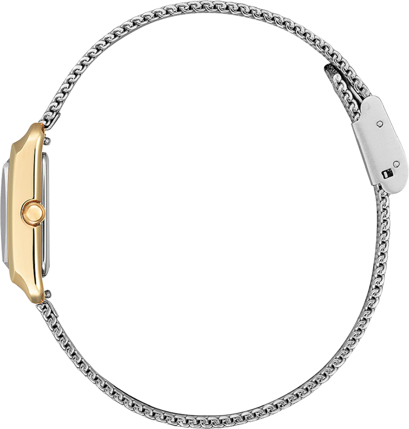 Citizen L 21,5mm Citizen L 21,5mm