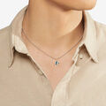 Dodo angelfish Pendant Dodo angelfish Pendant