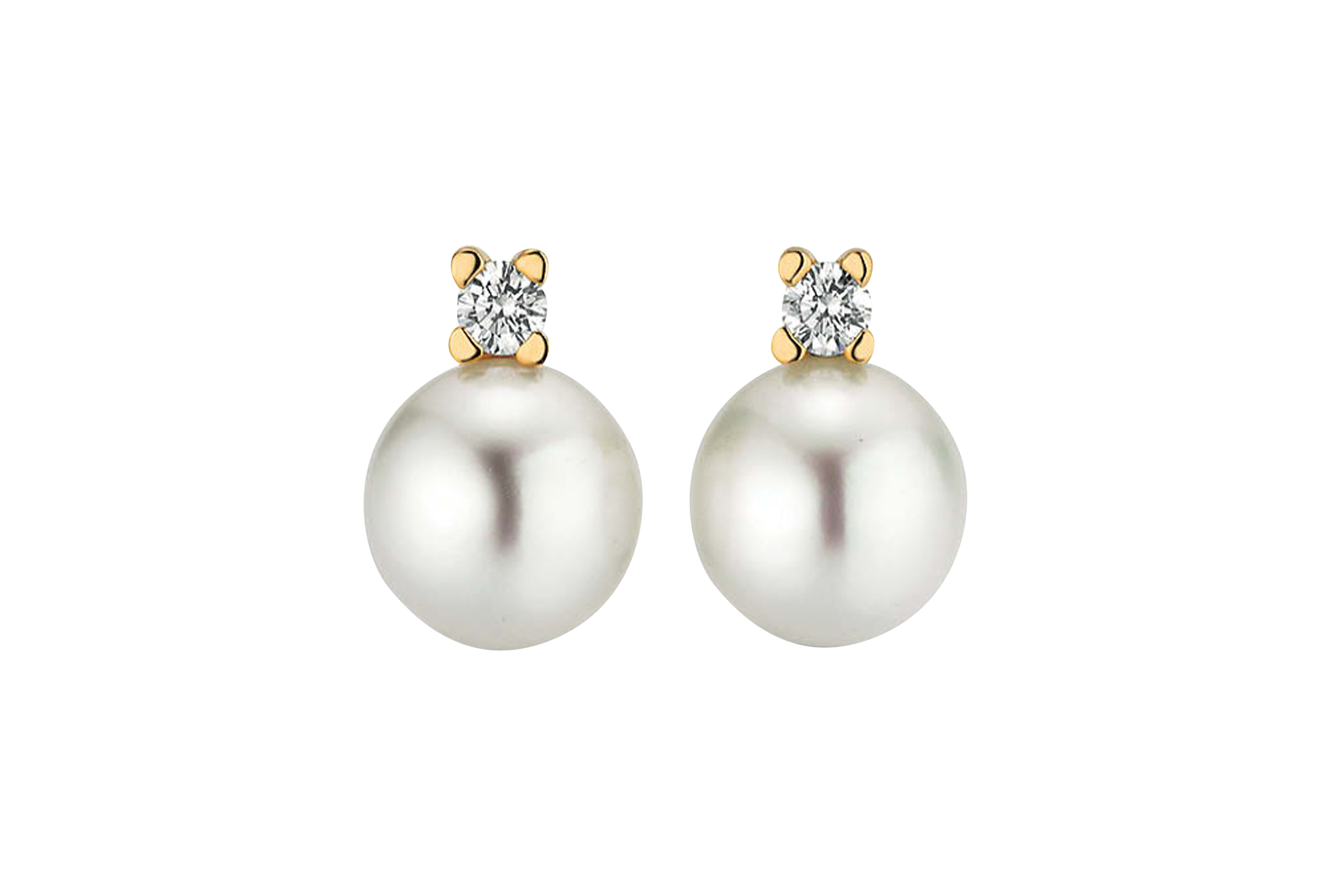 Gellner H2O Ohrstecker Gellner H2O Ohrstecker