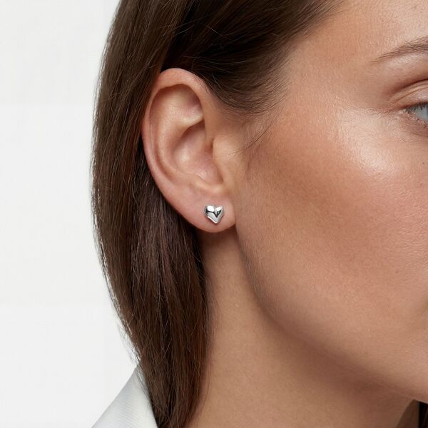 SJ E009 2 a0b4a9f3646a868f3