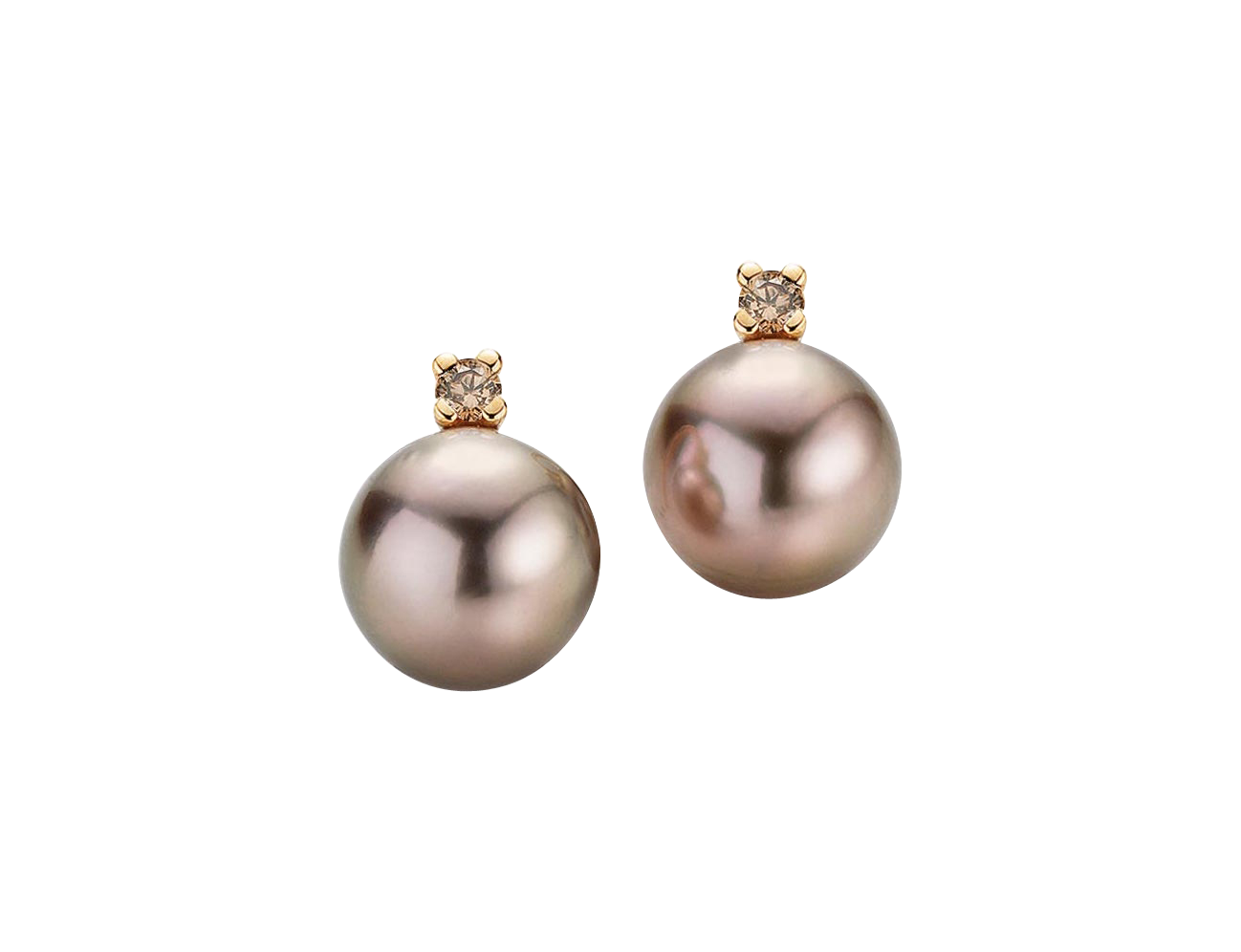 Gellner H2O Ohrstecker Gellner H2O Ohrstecker