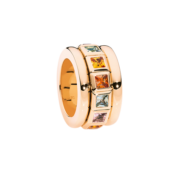 Tamara Comolli Curriculum Vitae Indian Summer Ring