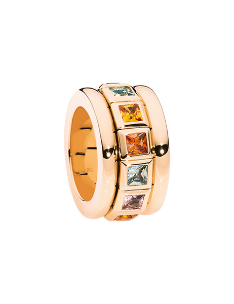 Tamara Comolli Curriculum Vitae Indian Summer Ring Tamara Comolli Curriculum Vitae Indian Summer Ring