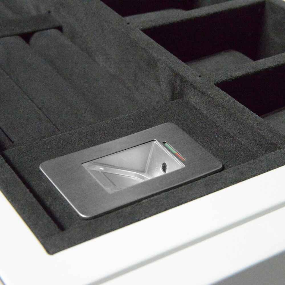 Chronovision Monuments of Time Watch winder