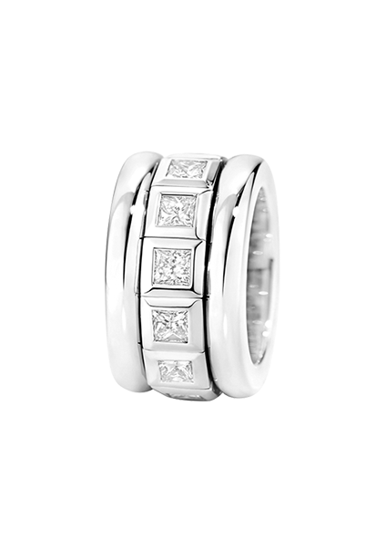 Tamara Comolli Curriculum Vitae Ring