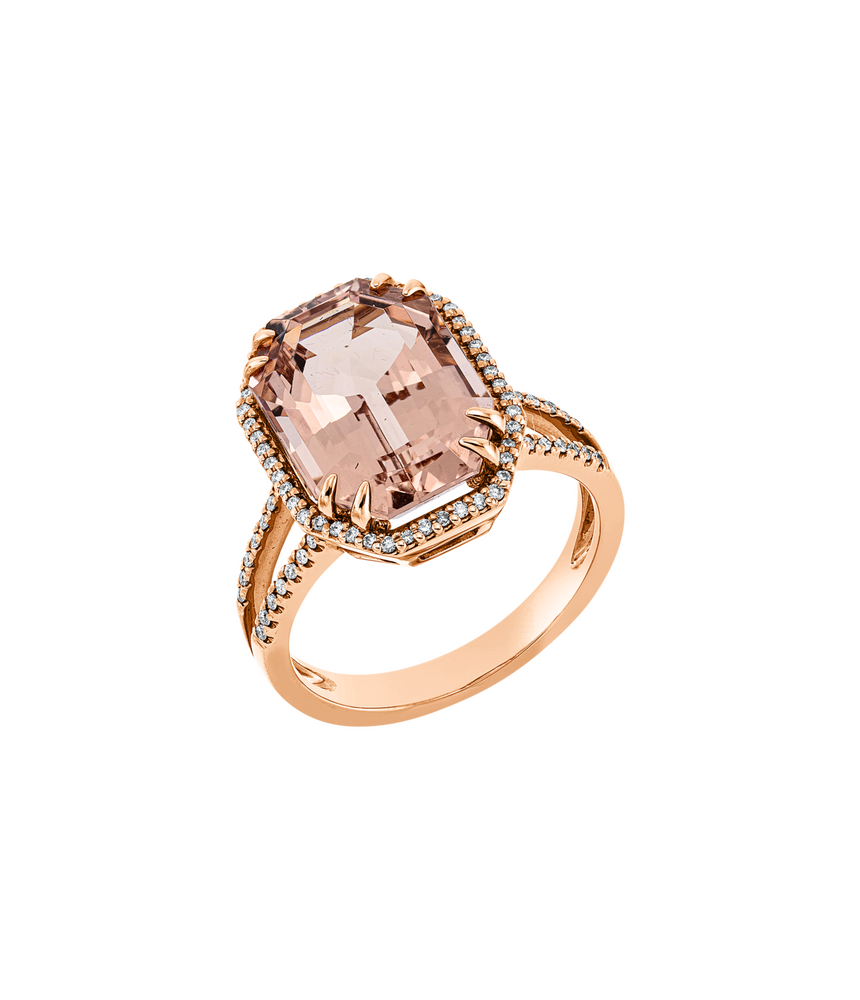Brogle Selection Morganitring
