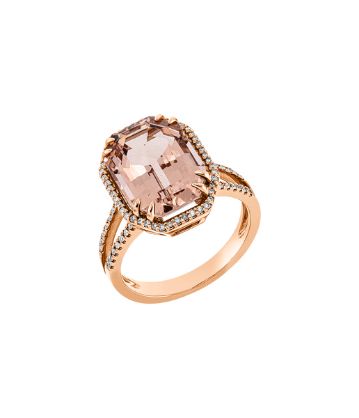 Brogle Selection Morganitring