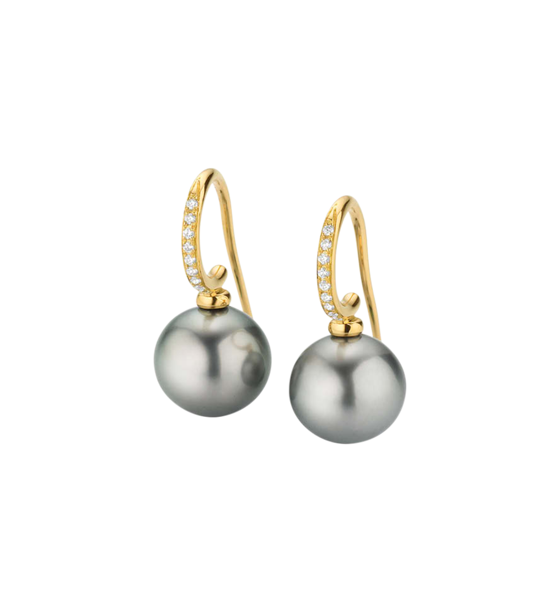 Gellner H2O Ohrhänger Gellner H2O Ohrhänger