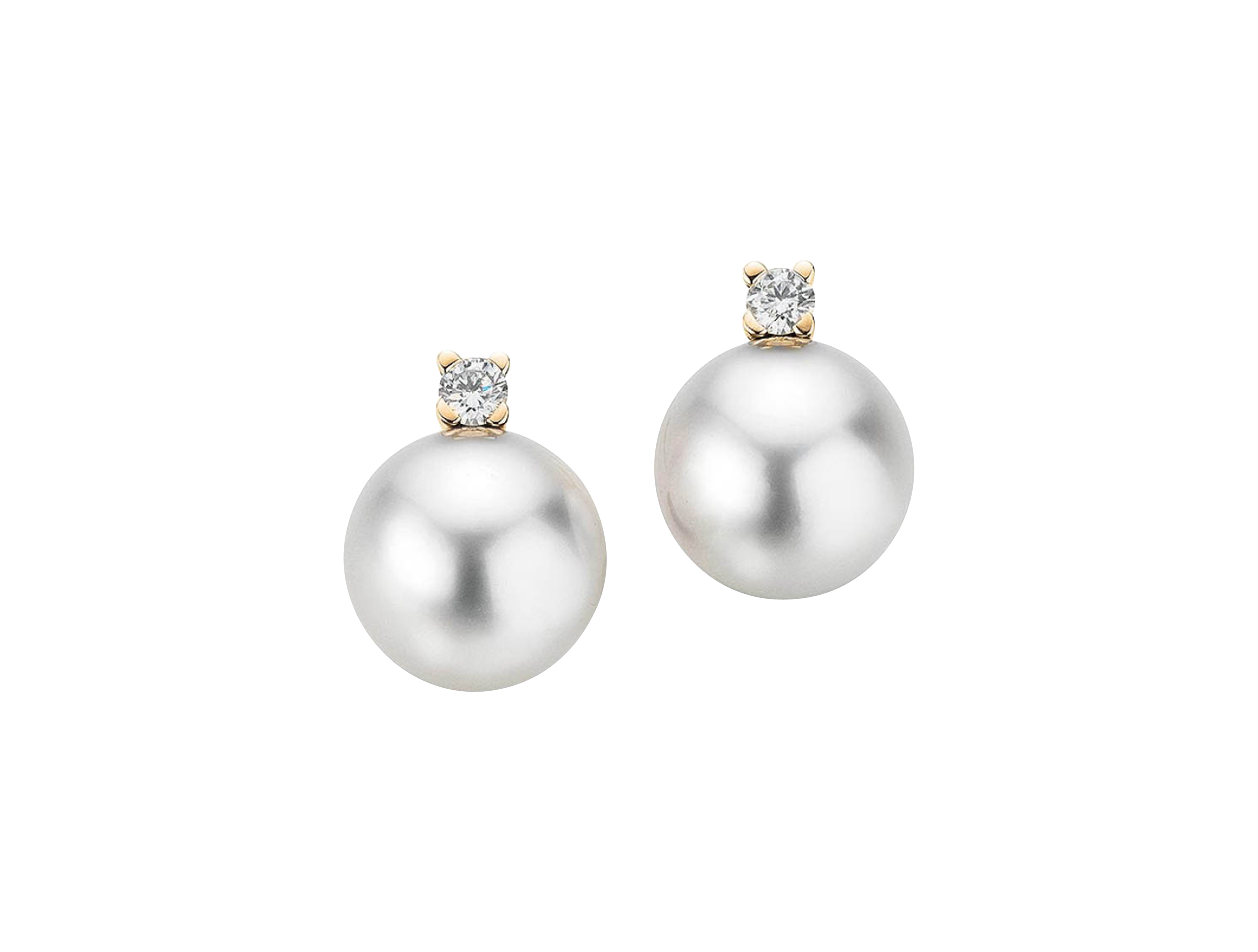 Gellner H2O stud earrings Gellner H2O stud earrings