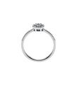 Brogle Selection Illusion Ring