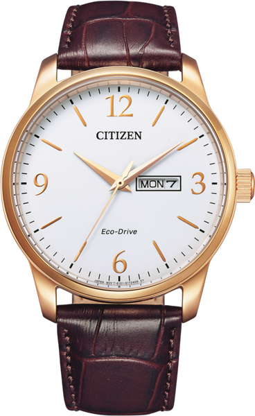 Citizen Elegant 41.5mm