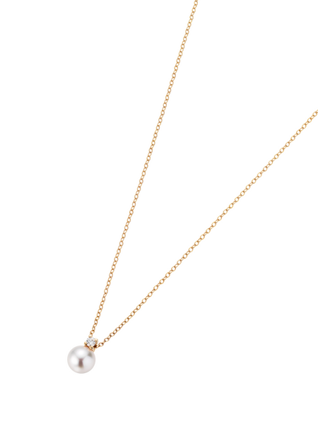 139311 5 22006 03pb1 m64b00ec3ef5f9f00